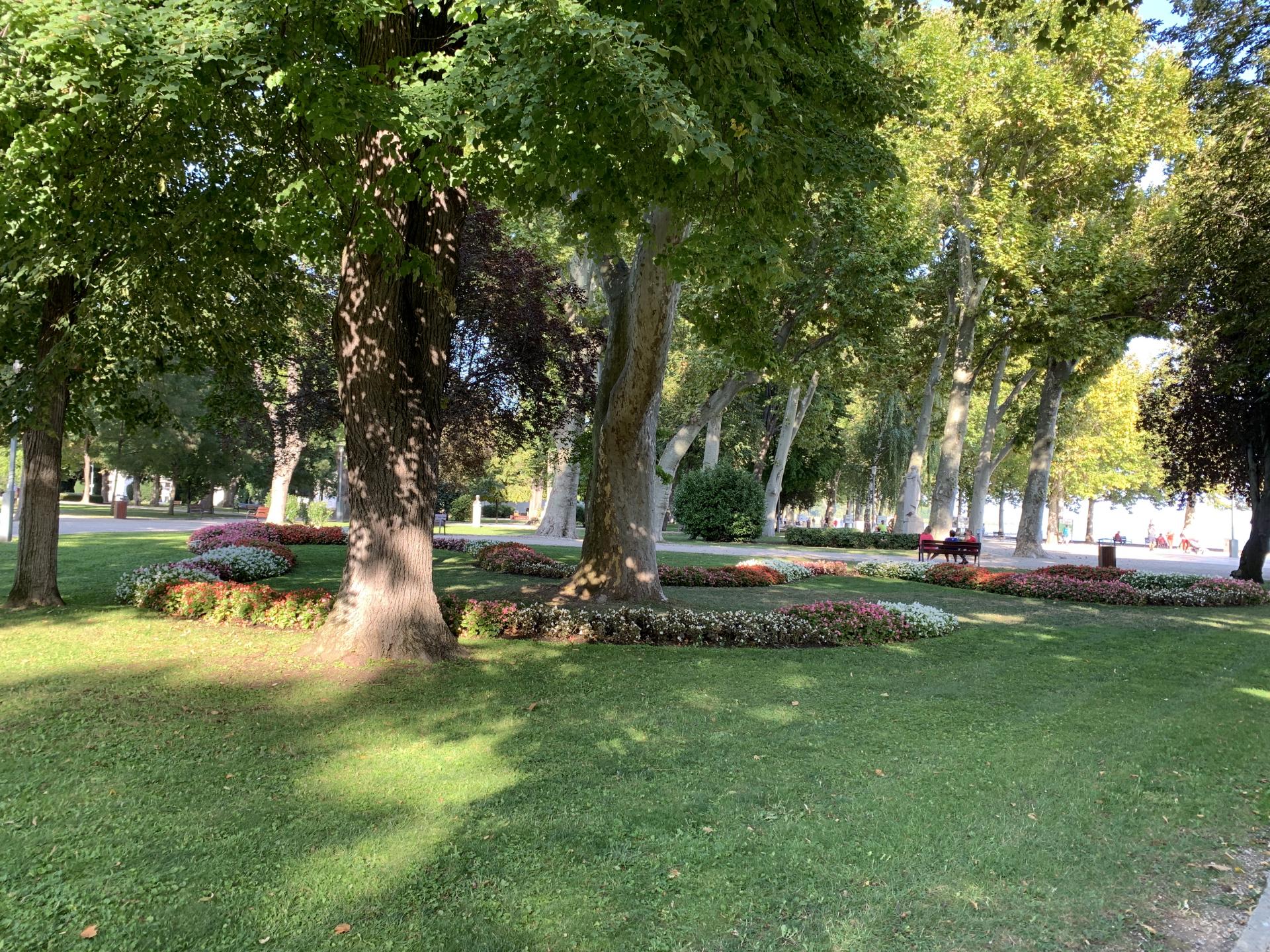 img-9297.jpg