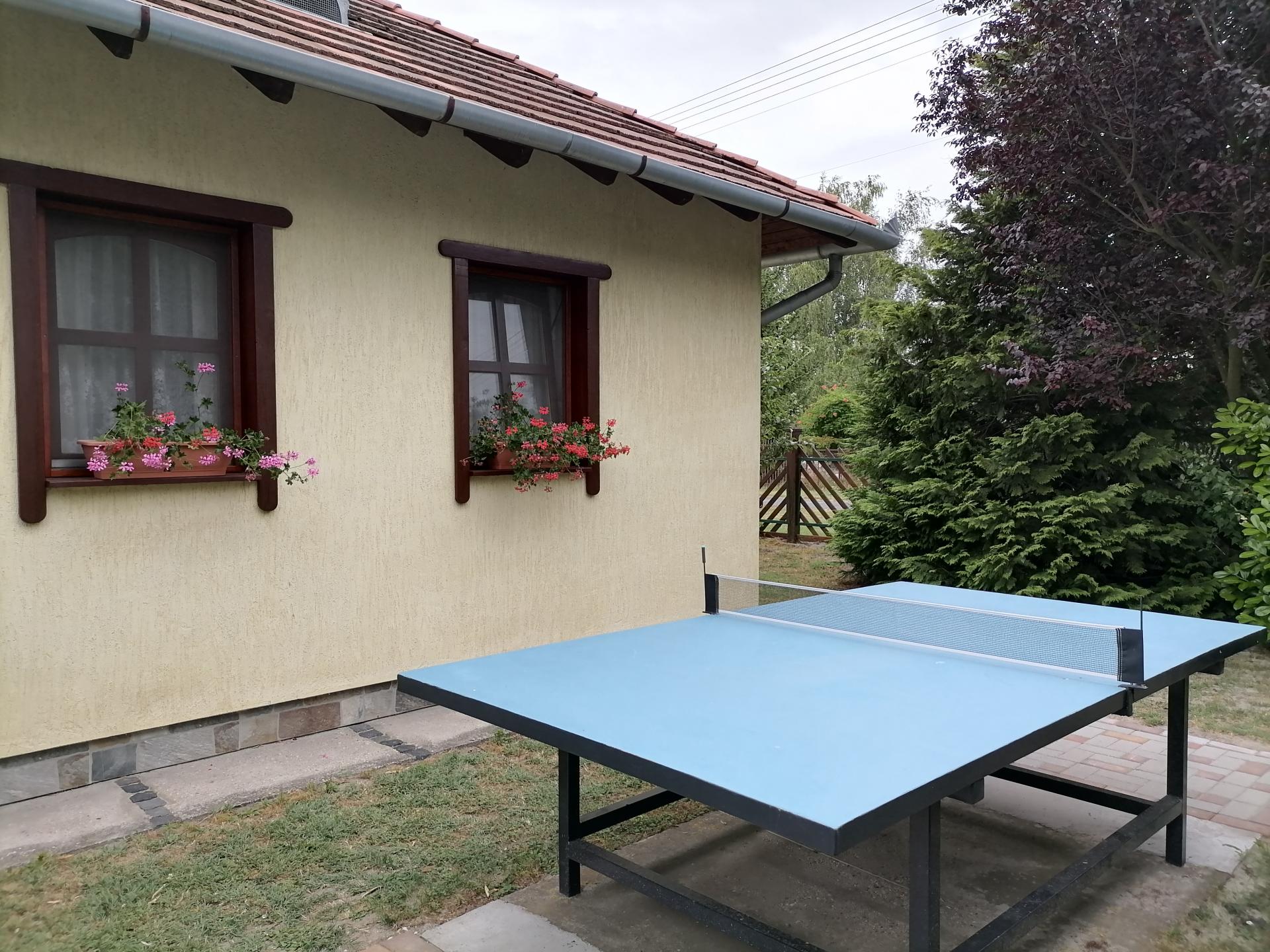 pingpong.jpg